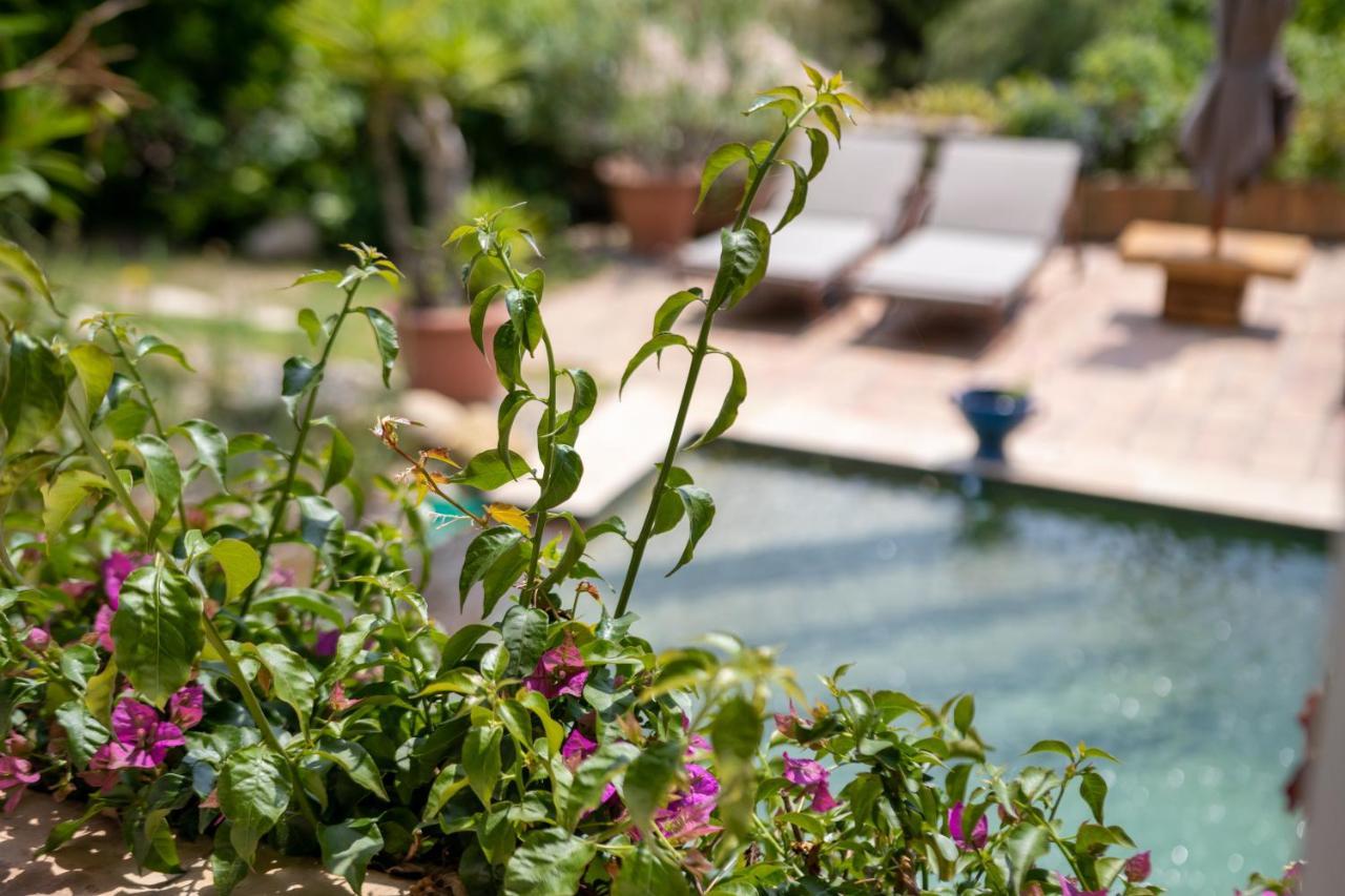 Le Mazet De Tourrettes Bed & Breakfast Exterior photo